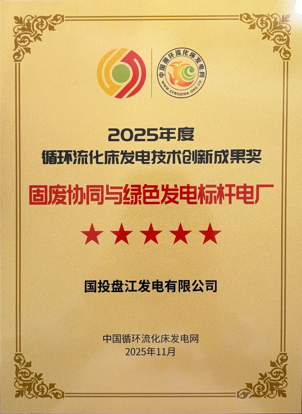 公司荣获中国循环流化床发电网“固废协同与绿色发电标杆电厂”