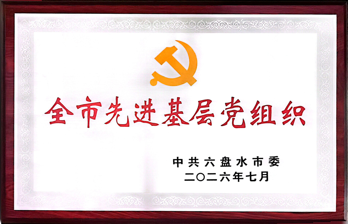 先锋出彩 堡垒生辉!国投盘江斩获两项市级党建荣誉